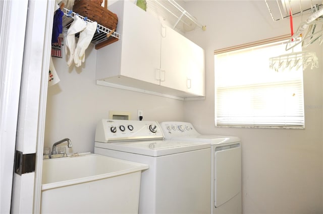 3891 Timber Ridge Ct, Palm Harbor, FL 34685 - photo 25