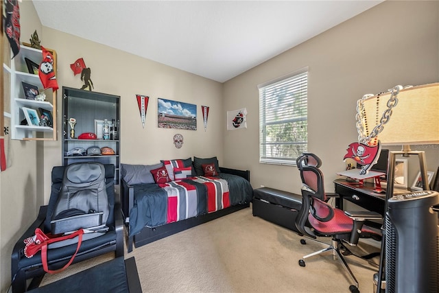 1146 Ketzal Dr, Trinity, FL 34655 - photo 13