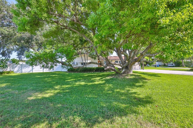 1511 4th St SW, Largo, FL 33770 - photo 5