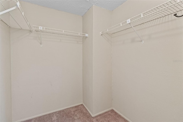 6304 92nd Pl N Unit 2806, Pinellas Park, FL 33782 - photo 21