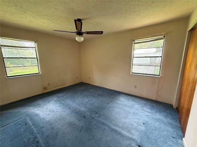 4606 Cantor Dr, Wesley Chapel, FL 33543 - photo 20