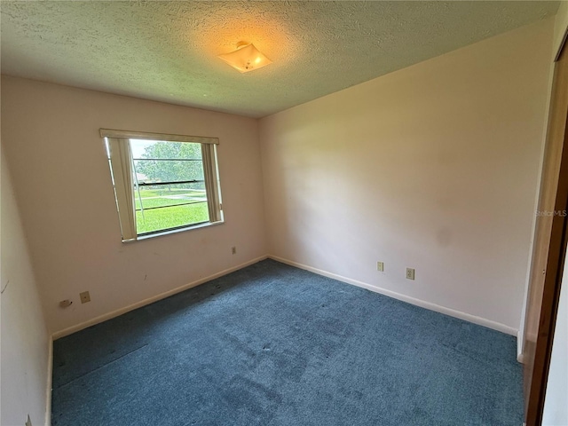 4606 Cantor Dr, Wesley Chapel, FL 33543 - photo 29
