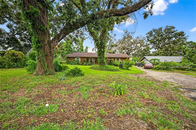 208 N Taylor Rd, Seffner, FL 33584 - photo 39