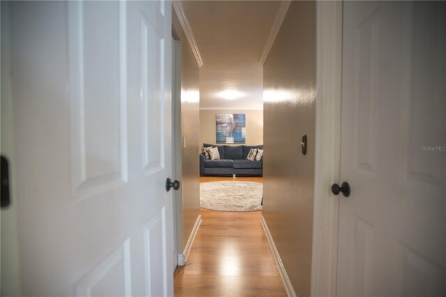 813 Druid Hills Rd, Temple Terrace, FL 33617 - photo 16
