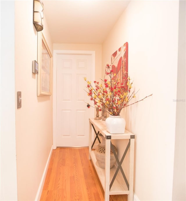 813 Druid Hills Rd, Temple Terrace, FL 33617 - photo 23