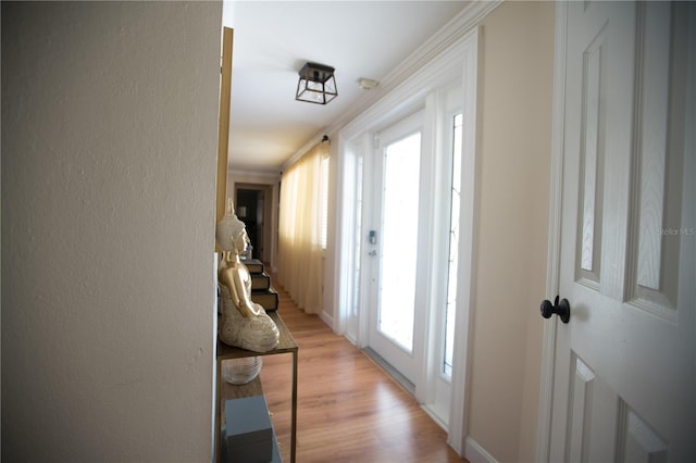 813 Druid Hills Rd, Temple Terrace, FL 33617 - photo 9