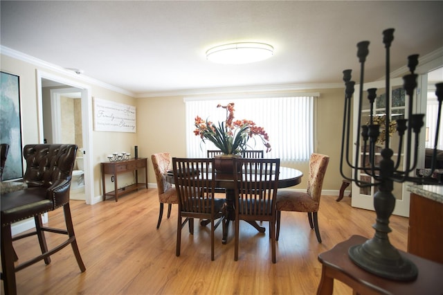 813 Druid Hills Rd, Temple Terrace, FL 33617 - photo 11