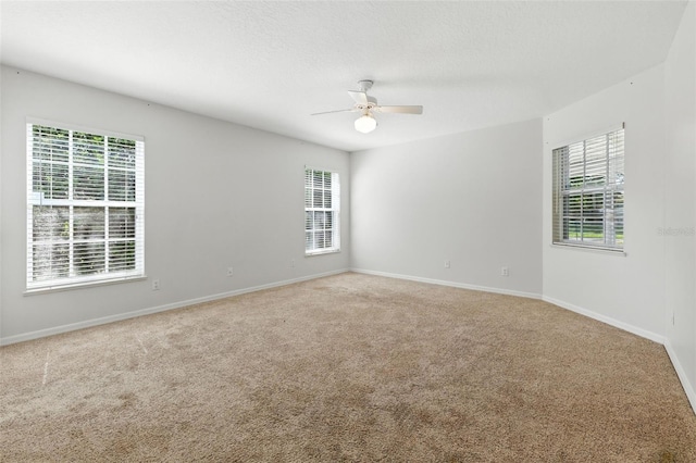 38904 5th Ave, Zephyrhills, FL 33542 - photo 14