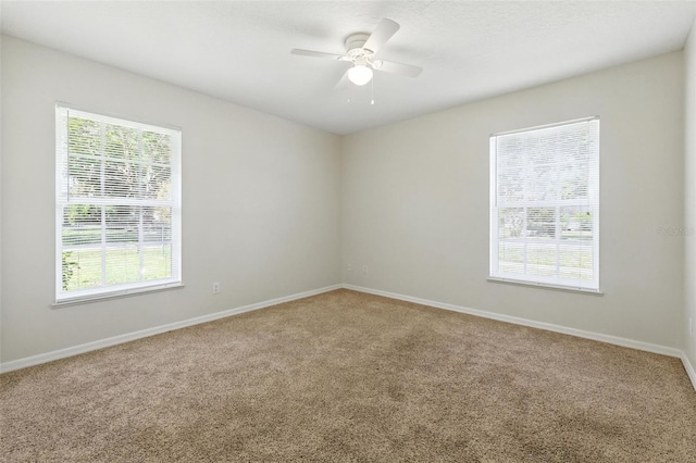 38904 5th Ave, Zephyrhills, FL 33542 - photo 20