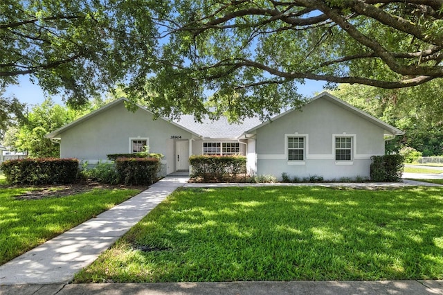 38904 5th Ave, Zephyrhills, FL 33542 - photo 28