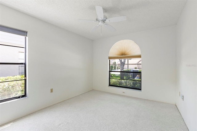 5511 Salem Square Dr N, Palm Harbor, FL 34685 - photo 15