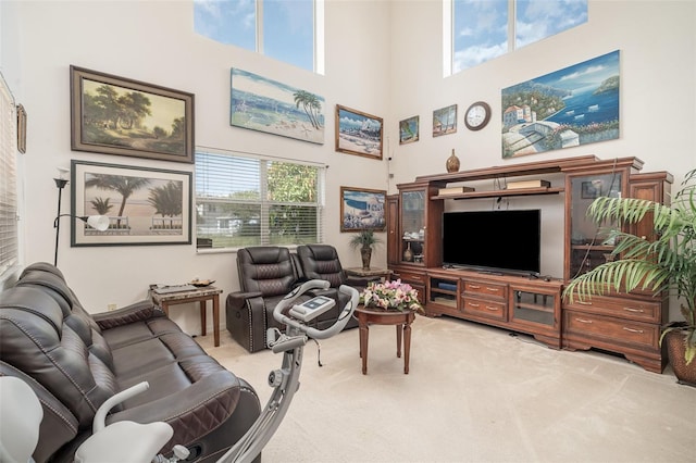 702 Cristelle Jean Dr, Ruskin, FL 33570 - photo 8