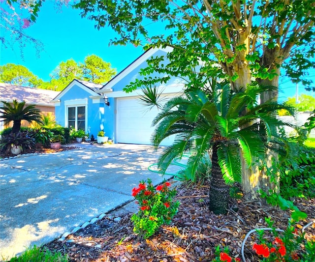 4932 Cypress Trce, Tampa, FL 33624 - photo 3