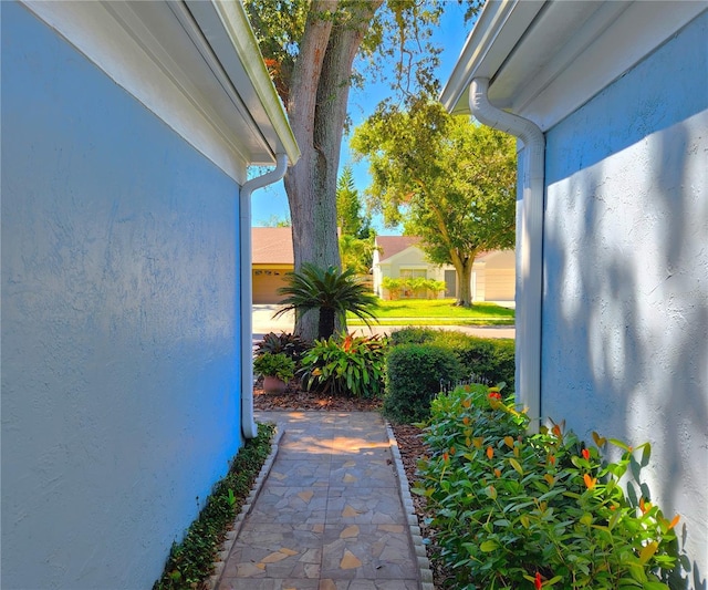4932 Cypress Trce, Tampa, FL 33624 - photo 9