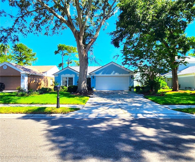 4932 Cypress Trce, Tampa, FL 33624 - photo 51