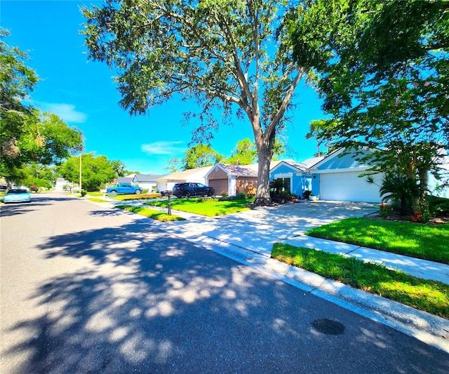 4932 Cypress Trce, Tampa, FL 33624 - photo 52