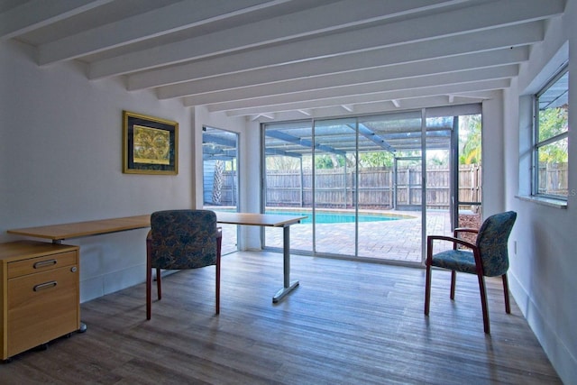 290 13th Ave N, Safety Harbor, FL 34695 - photo 20