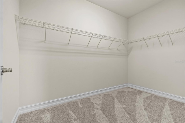 31982 Bourneville Ter, Wesley Chapel, FL 33543 - photo 49