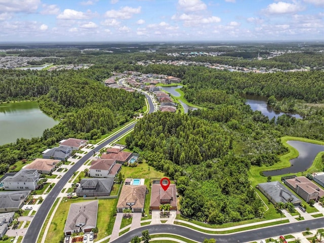 31982 Bourneville Ter, Wesley Chapel, FL 33543 - photo 69