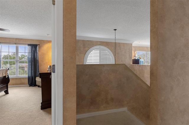 3533 Dothan Ave, Spring Hill, FL 34609 - photo 28