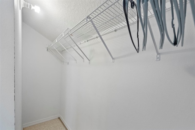 1111 Kingfish Pl, Apollo Beach, FL 33572 - photo 31