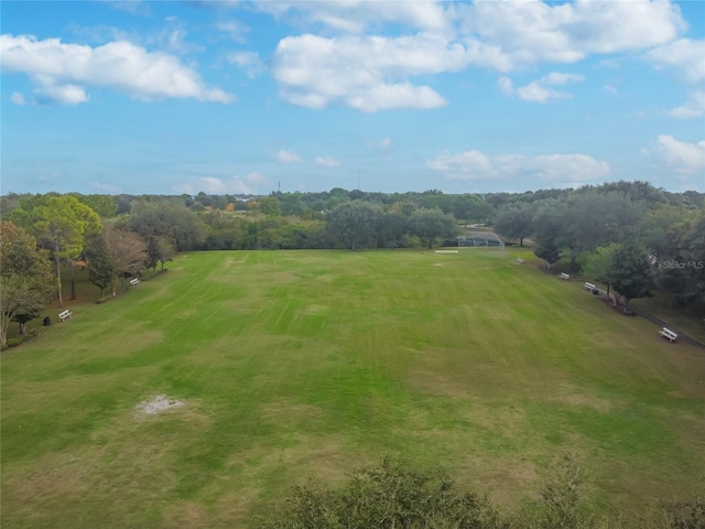 12709 Standbridge Dr, Riverview, FL 33579 - photo 68