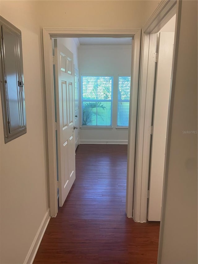 18127 Sterling Gate Cir Unit 18127, Tampa, FL 33647 - photo 17