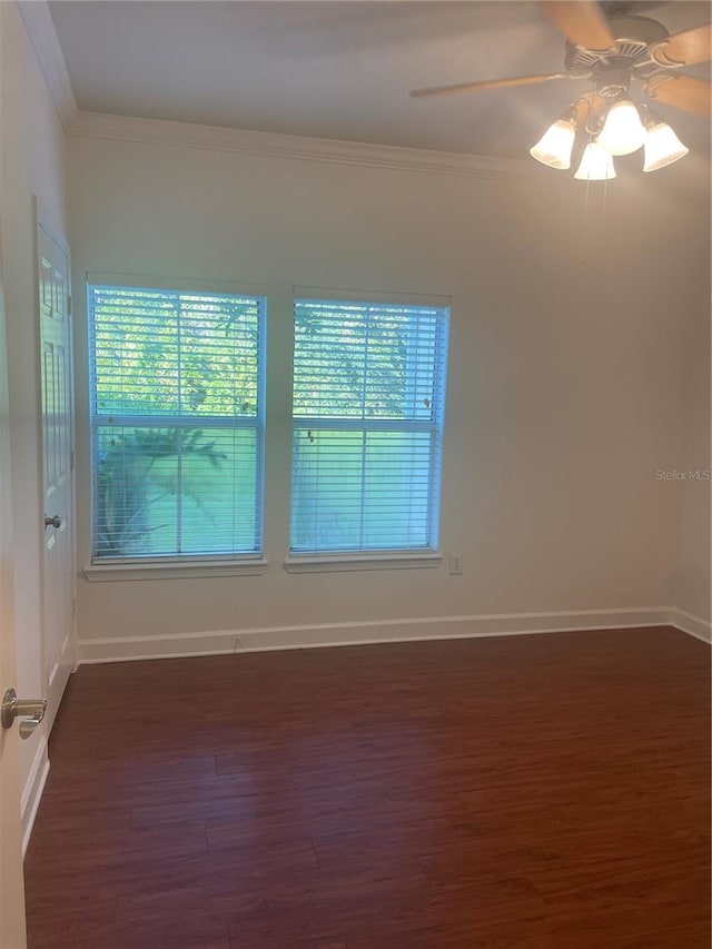 18127 Sterling Gate Cir Unit 18127, Tampa, FL 33647 - photo 19