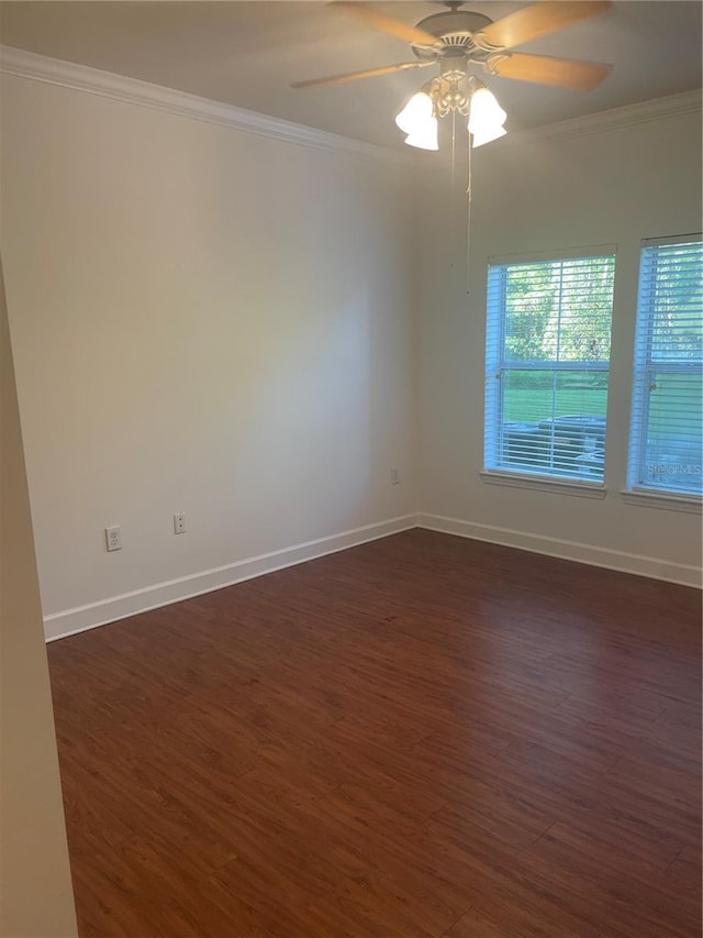 18127 Sterling Gate Cir Unit 18127, Tampa, FL 33647 - photo 21