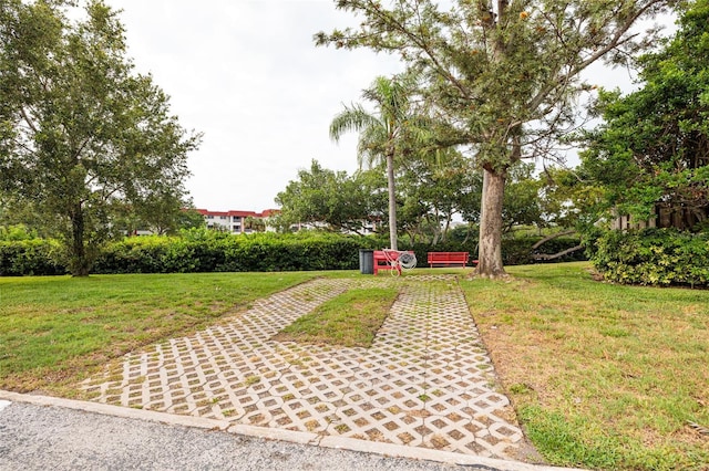 4580 Overlook Dr NE Unit 190, Saint Petersburg, FL 33703 - photo 41