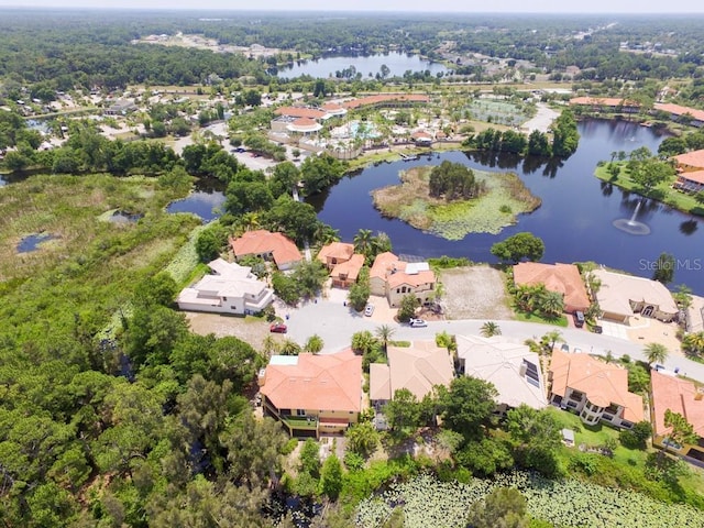 21141 Los Cabos Ct, Land O Lakes, FL 34637 - photo 74