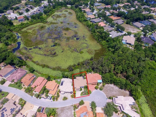 21141 Los Cabos Ct, Land O Lakes, FL 34637 - photo 77
