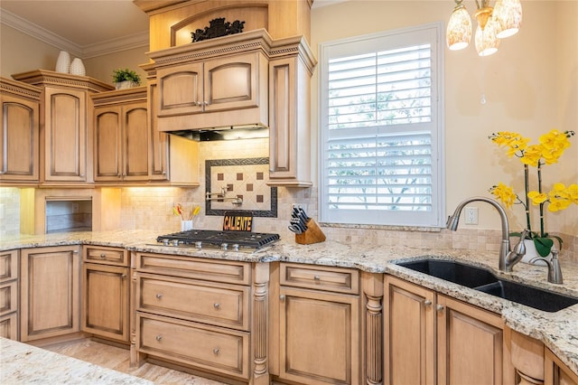 21141 Los Cabos Ct, Land O Lakes, FL 34637 - photo 27