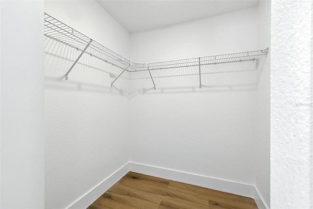 5401 97th Ter N, Pinellas Park, FL 33782 - photo 27