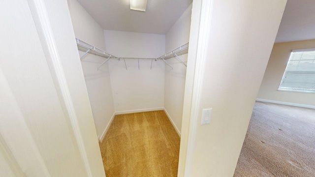 3723 Round Table Ct, Land O Lakes, FL 34638 - photo 17