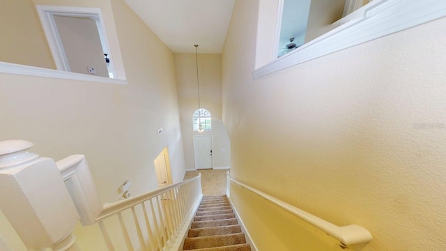 3723 Round Table Ct, Land O Lakes, FL 34638 - photo 28