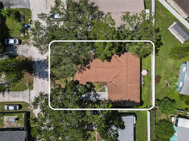 1819 Martin St, Largo, FL 33774 - photo 4