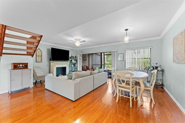 250 Woods Landing Trl, Oldsmar, FL 34677 - photo 5