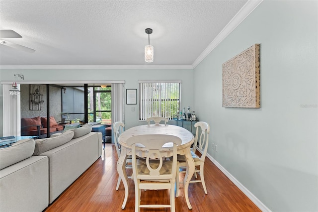 250 Woods Landing Trl, Oldsmar, FL 34677 - photo 12