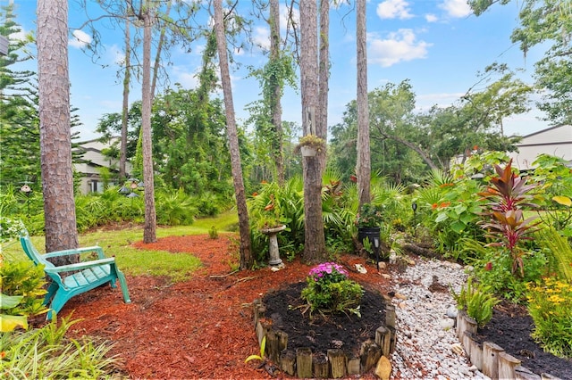 250 Woods Landing Trl, Oldsmar, FL 34677 - photo 26