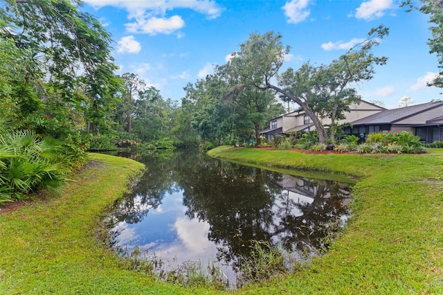 250 Woods Landing Trl, Oldsmar, FL 34677 - photo 29