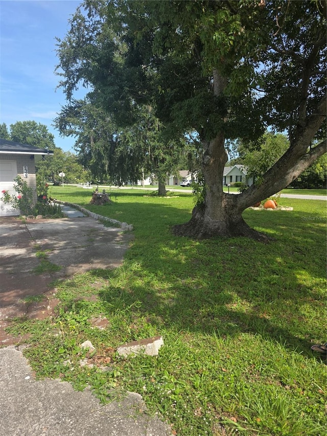 2314 View Way, Lakeland, FL 33810 - photo 24