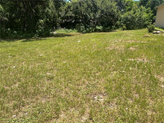 1904-1906 W Busch Blvd, Tampa, FL 33612 - photo 2