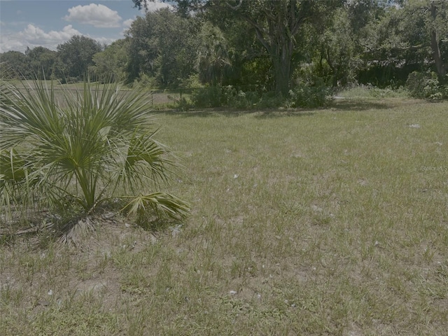 1904-1906 W Busch Blvd, Tampa, FL 33612 - photo 7