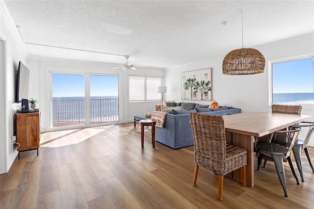 18400 Gulf Blvd Unit 1410, Indian Shores, FL 33785 - photo 3