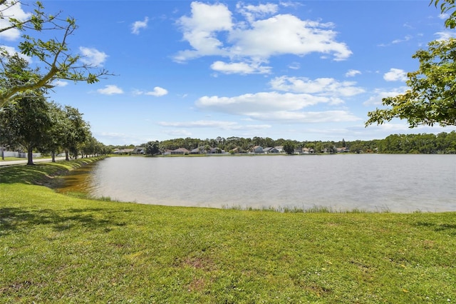8677 Manassas Rd, Tampa, FL 33635 - photo 3