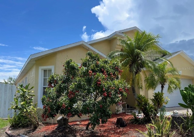 8677 Manassas Rd, Tampa, FL 33635 - photo 48