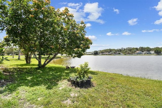 8677 Manassas Rd, Tampa, FL 33635 - photo 52