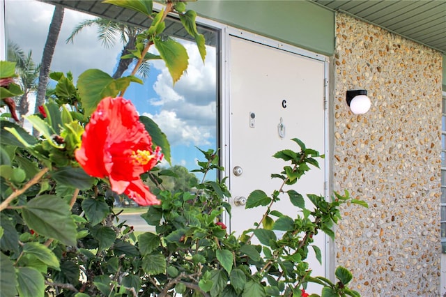4333 Tahitian Gardens Cir Unit C, Holiday, FL 34691 - photo 2