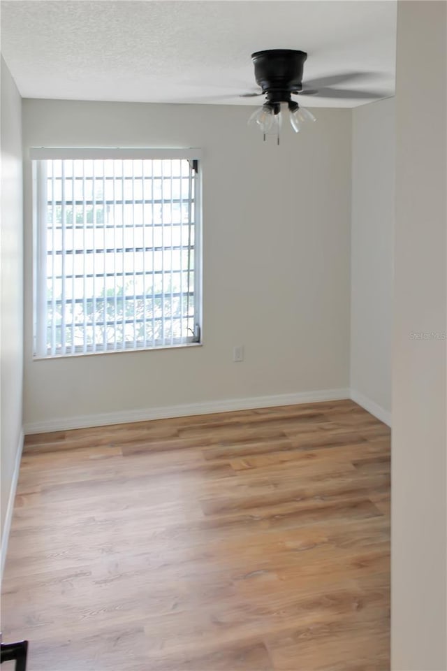 4333 Tahitian Gardens Cir Unit C, Holiday, FL 34691 - photo 10